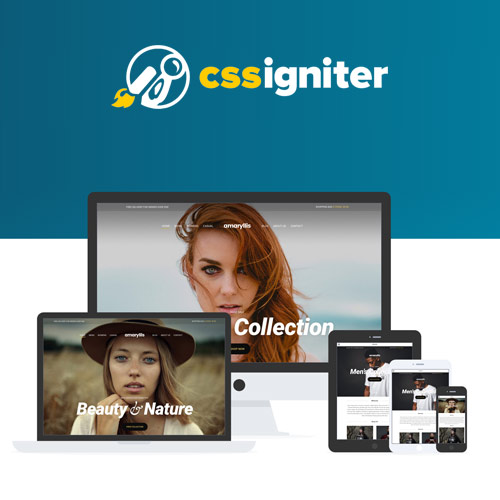 CSS Igniter Amaryllis WordPress Theme