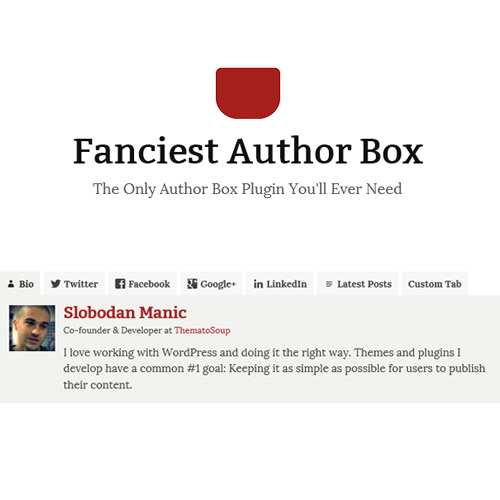 Fanciest Author Box